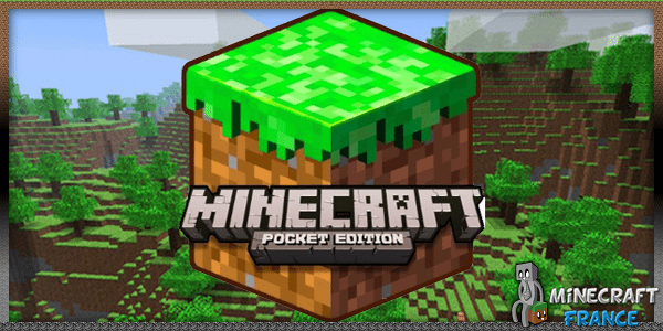 Anniversaire Minecraft Pocket Edition et trailer 1.0 ! 