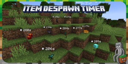 Mod : Item Despawn Timer